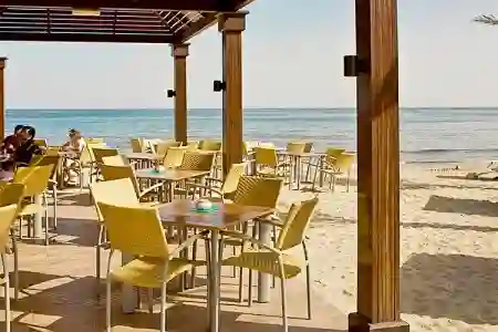 Miramar Al Aqah Beach Resort 3